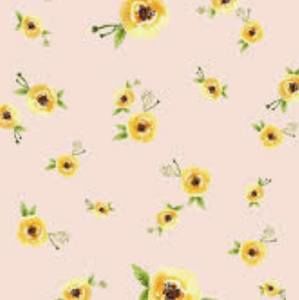 Meet your Posher, Nichole